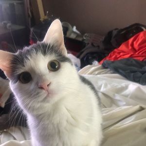 Meet your Posher, Cedric